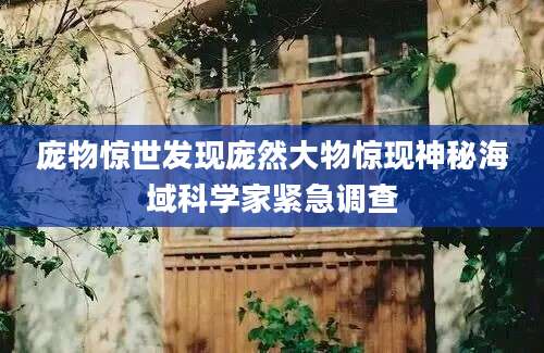 庞物惊世发现庞然大物惊现神秘海域科学家紧急调查