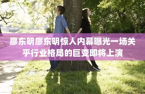 廖东明廖东明惊人内幕曝光一场关乎行业格局的巨变即将上演
