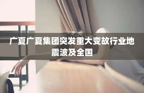 广夏广夏集团突发重大变故行业地震波及全国