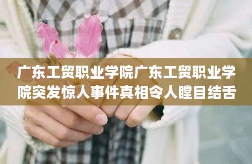 广东工贸职业学院广东工贸职业学院突发惊人事件真相令人瞠目结舌