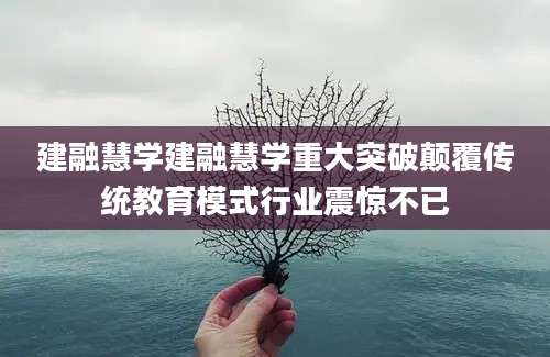 建融慧学建融慧学重大突破颠覆传统教育模式行业震惊不已