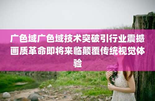 广色域广色域技术突破引行业震撼画质革命即将来临颠覆传统视觉体验