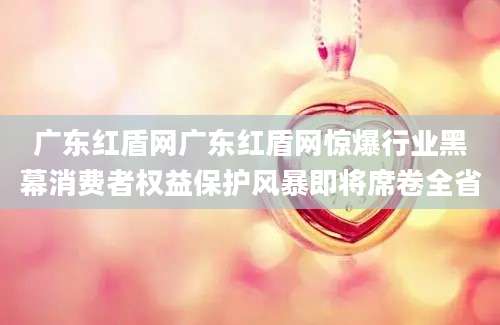 广东红盾网广东红盾网惊爆行业黑幕消费者权益保护风暴即将席卷全省