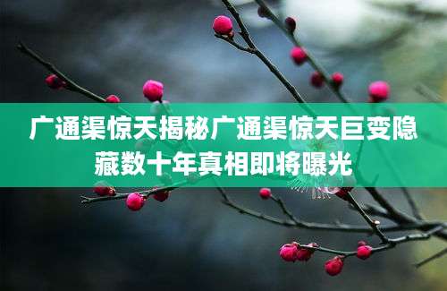 广通渠惊天揭秘广通渠惊天巨变隐藏数十年真相即将曝光