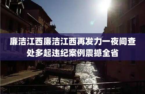 廉洁江西廉洁江西再发力一夜间查处多起违纪案例震撼全省
