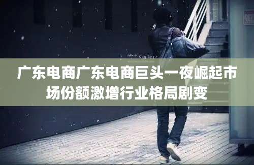 广东电商广东电商巨头一夜崛起市场份额激增行业格局剧变