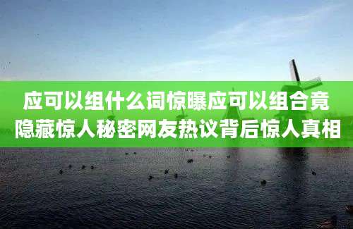 应可以组什么词惊曝应可以组合竟隐藏惊人秘密网友热议背后惊人真相
