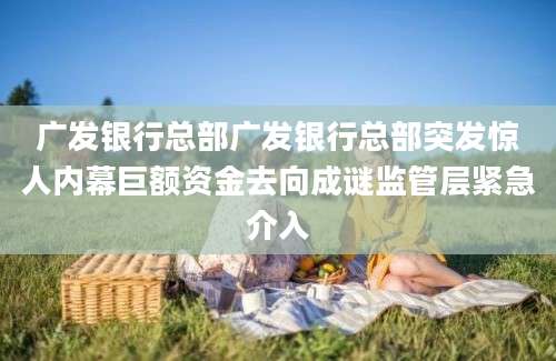 广发银行总部广发银行总部突发惊人内幕巨额资金去向成谜监管层紧急介入