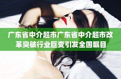 广东省中介超市广东省中介超市改革突破行业巨变引发全国瞩目