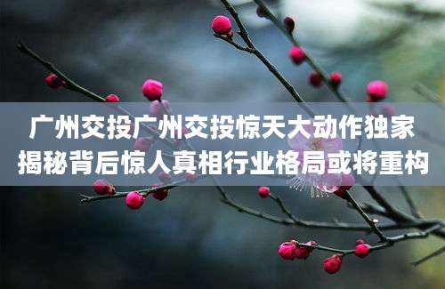 广州交投广州交投惊天大动作独家揭秘背后惊人真相行业格局或将重构